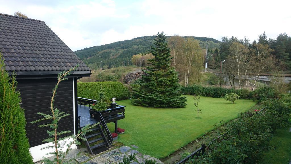 Peak Apartments Voss Bagian luar foto